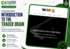 The ReThink Group – Introduction To The Trader Brain The ReThink Group – Introduction To The Trader Brain